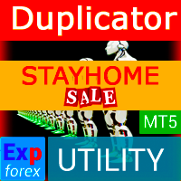 اکسپرت و ربات معامله گر Exp5 Duplicator